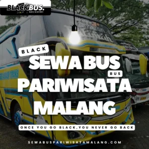 sewa bus pariwisata