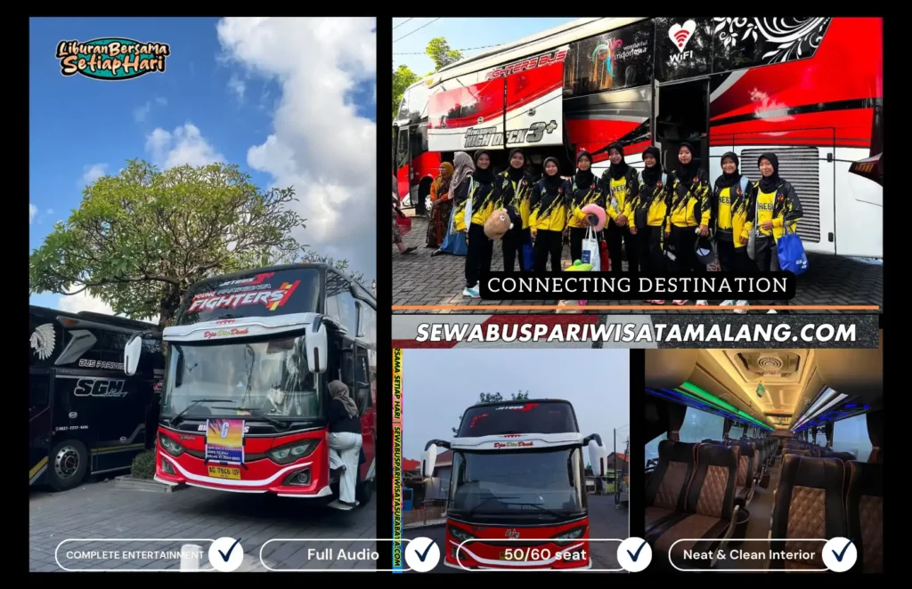 bus pariwisata