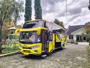 sewa bus medium malang